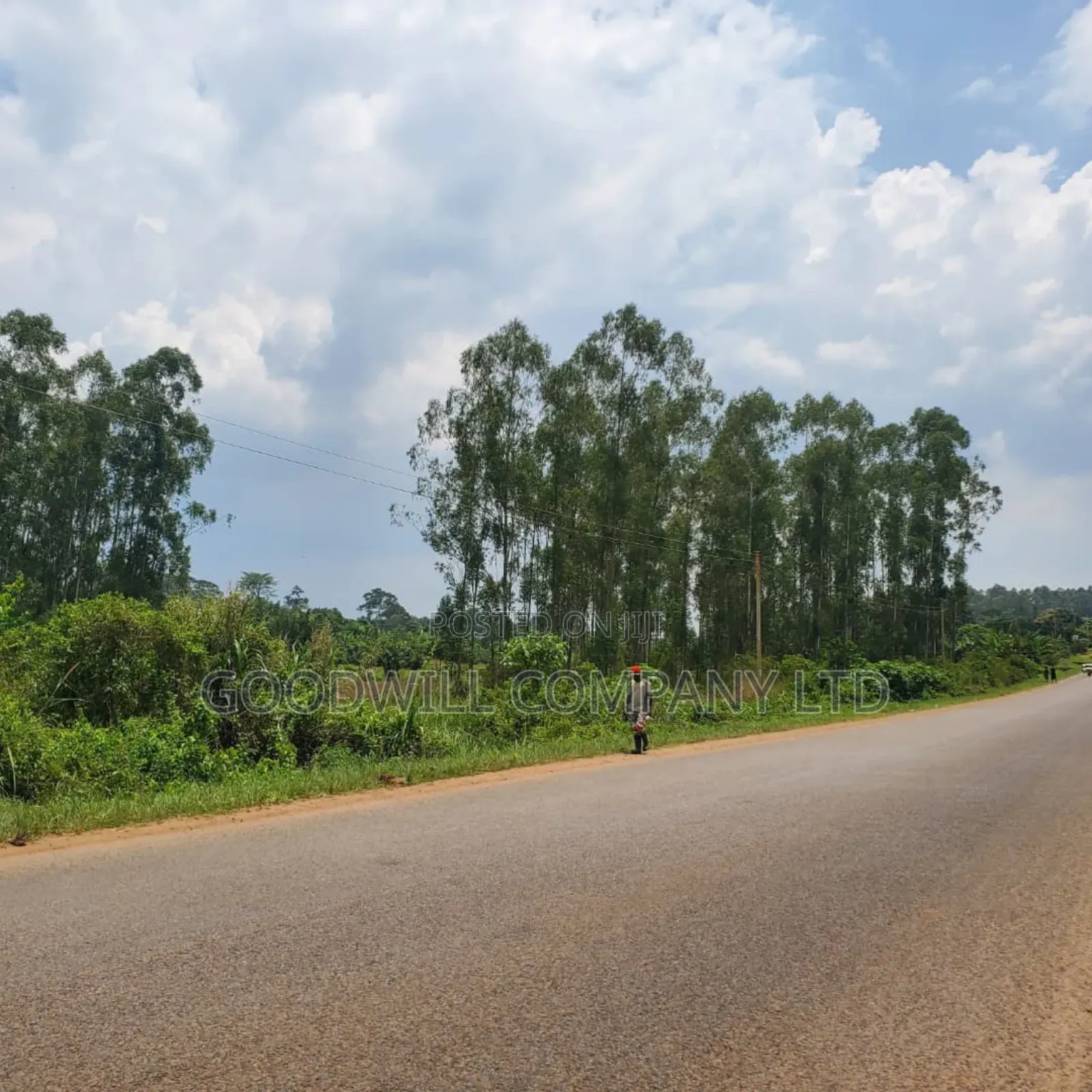 11 Acres of Land in Busiika Bulami on Zirobwe Rd