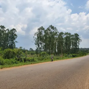 11 Acres of Land in Busiika Bulami on Zirobwe Rd