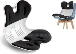 Ergonomic Chair Back Support, Lumbar Support