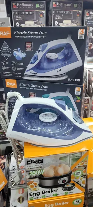 Steam Iron Raf