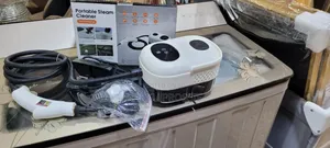 Portable Steamer Cleaner