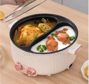 Double Electric Hot Pot
