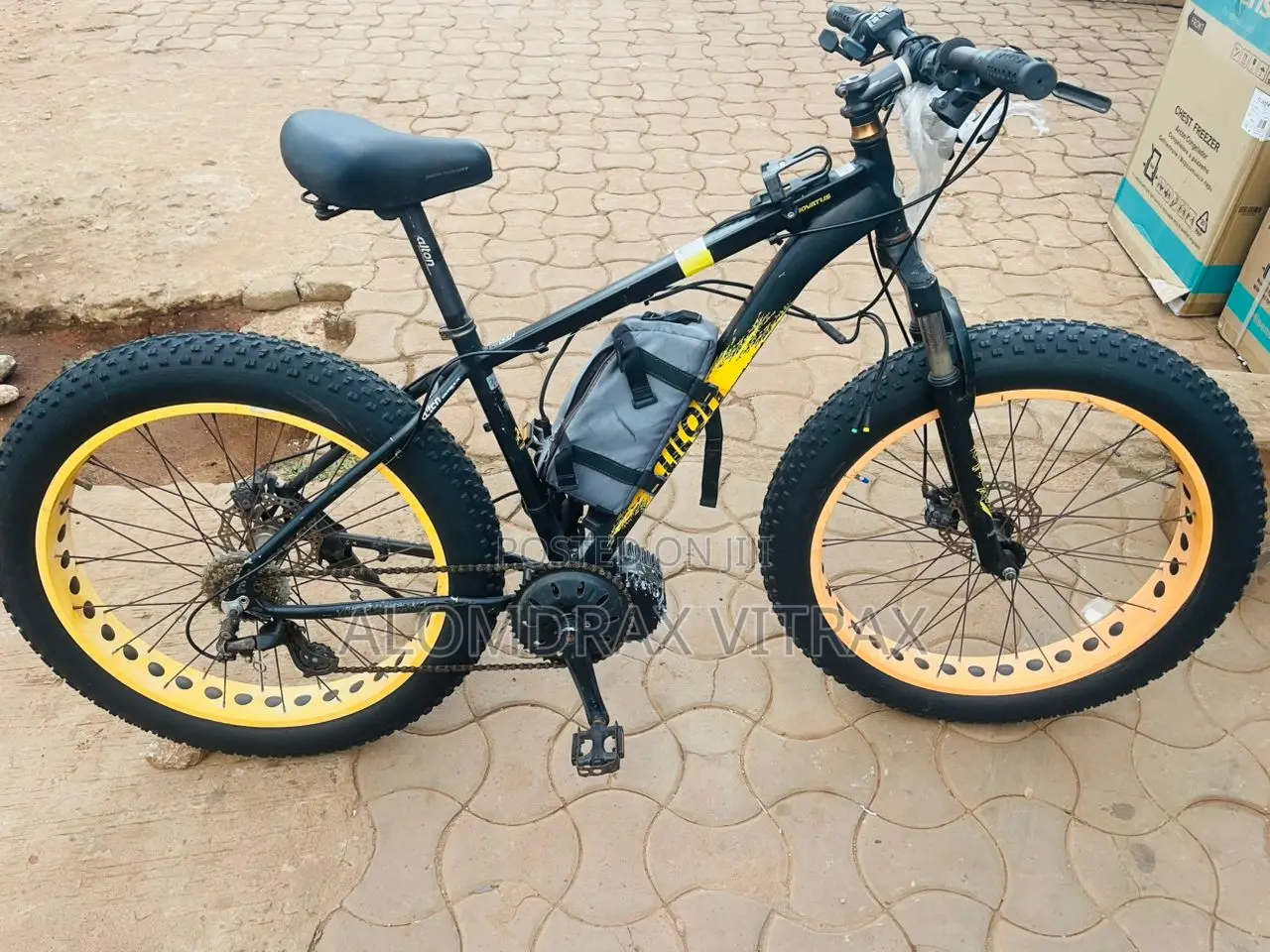 Electric Bike