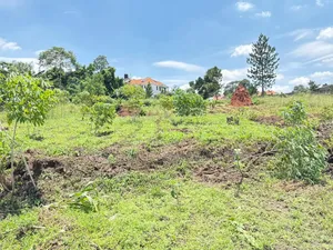 4 Acres of Land in Kiwologoma After Kira