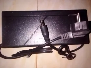 Electric Scooter Charger & Electric Bicycle Charger (60v-71v)