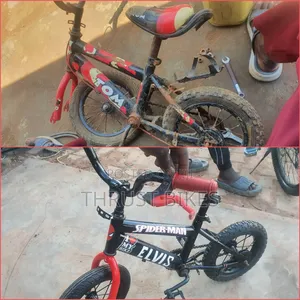 Bike Restoration