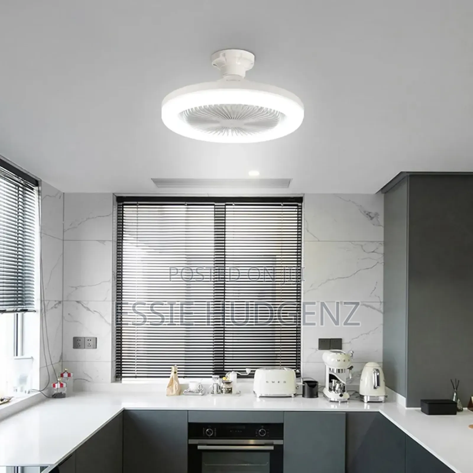 2in1 Fan Light