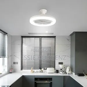 2in1 Fan Light