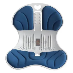 Lumbar Support Posture Corrector