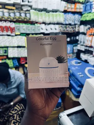 Colourful Egg Humidifier
