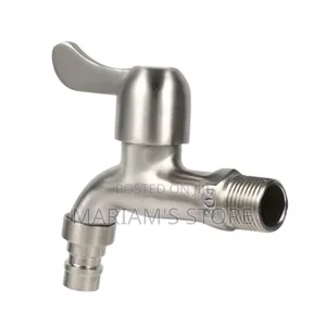 Stainless Steel Wall-Mounted Faucet