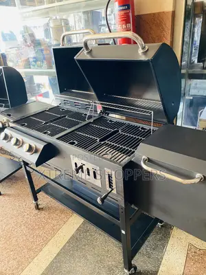 4:1/ Grilling / Barbecue/Chicken/Gas en Charcoal
