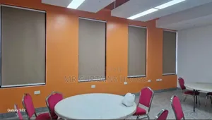 Singer Roller Blinds