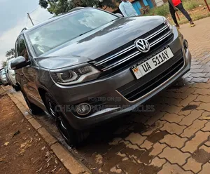Volkswagen Tiguan 2016 Brown