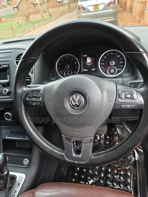 Volkswagen Tiguan 2016 Brown