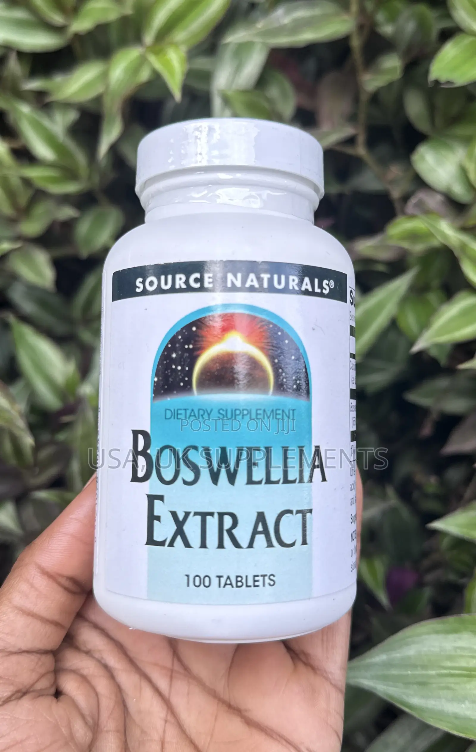 Boswellia Extract 100 Tablets Source Naturals