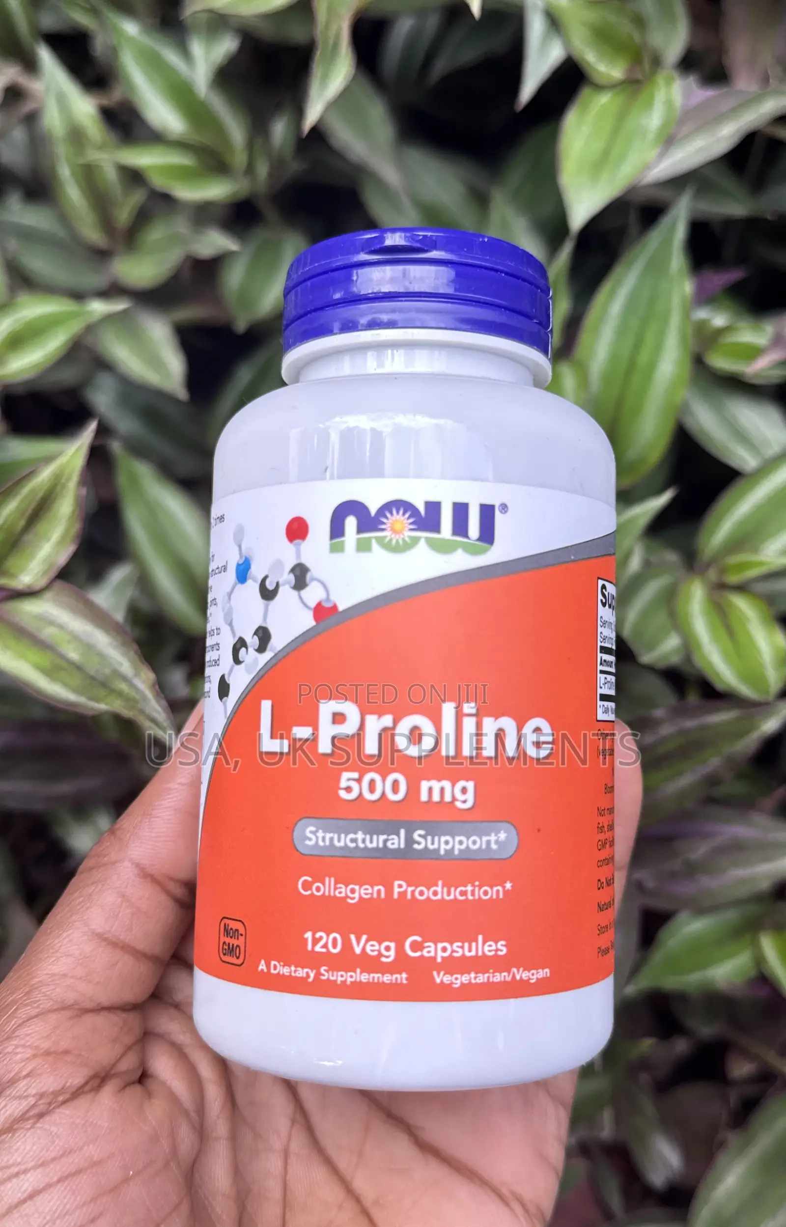 Now L-Proline 500mg 120veg Capsules