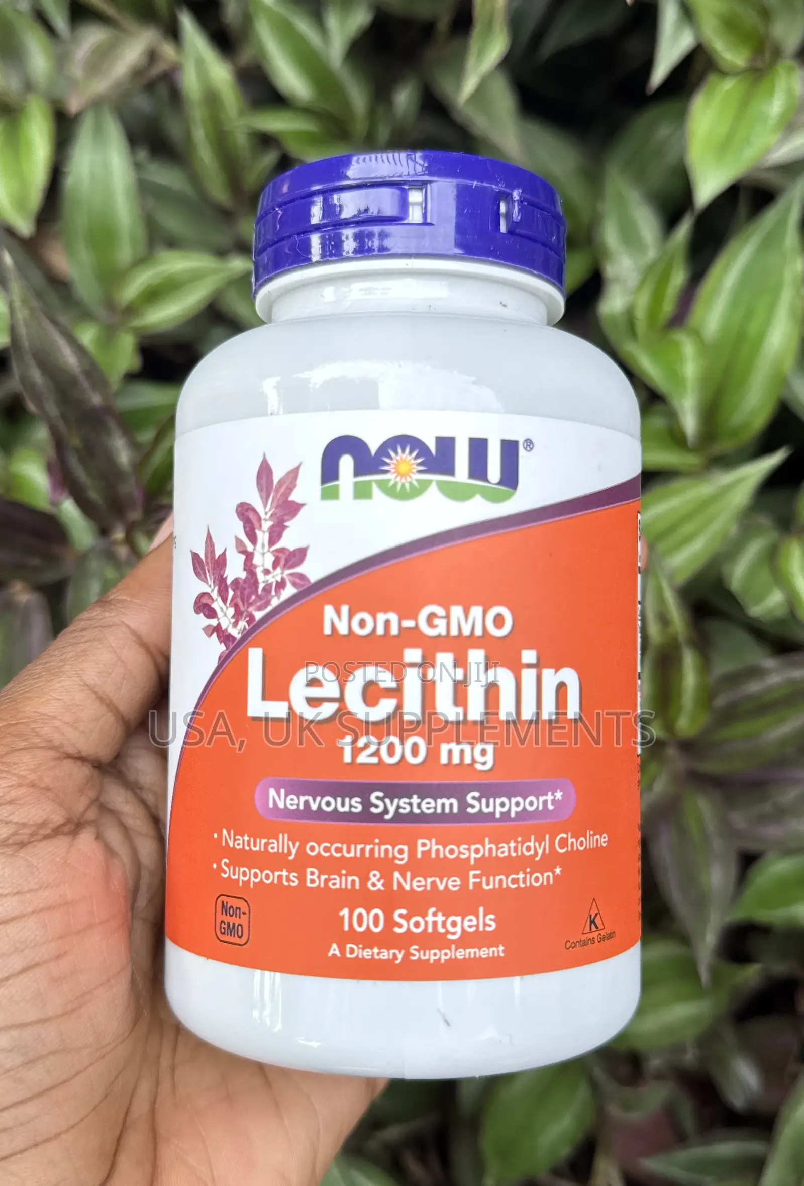 Now 1200mg Lecithin(Nervous System Support) 100softgels
