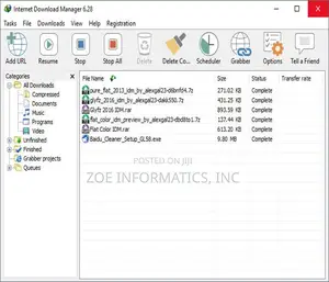 Internet Download Manager