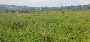 Land With a Proper Land Title