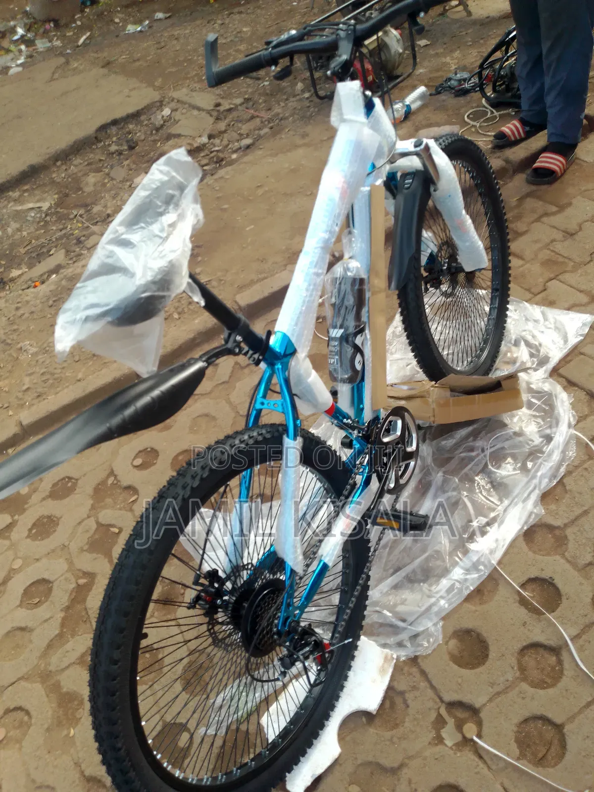 Awa Adults Bike