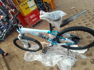 Awa Adults Bike