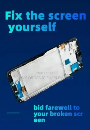 Samsung LCD Screen Replacement