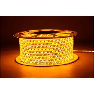 Neelux Strip Light Gold Color