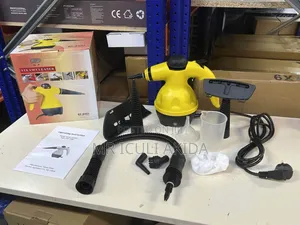 Handheld Steam Cleaner, Likely the Df-A001 Model