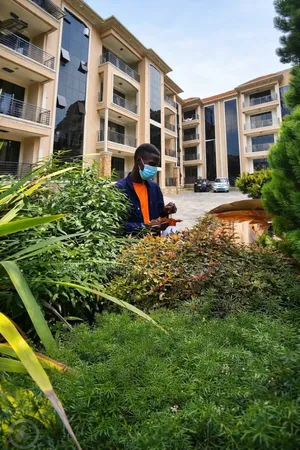 Apartments and Compound Fumigation Both Insecticide and Pesticides