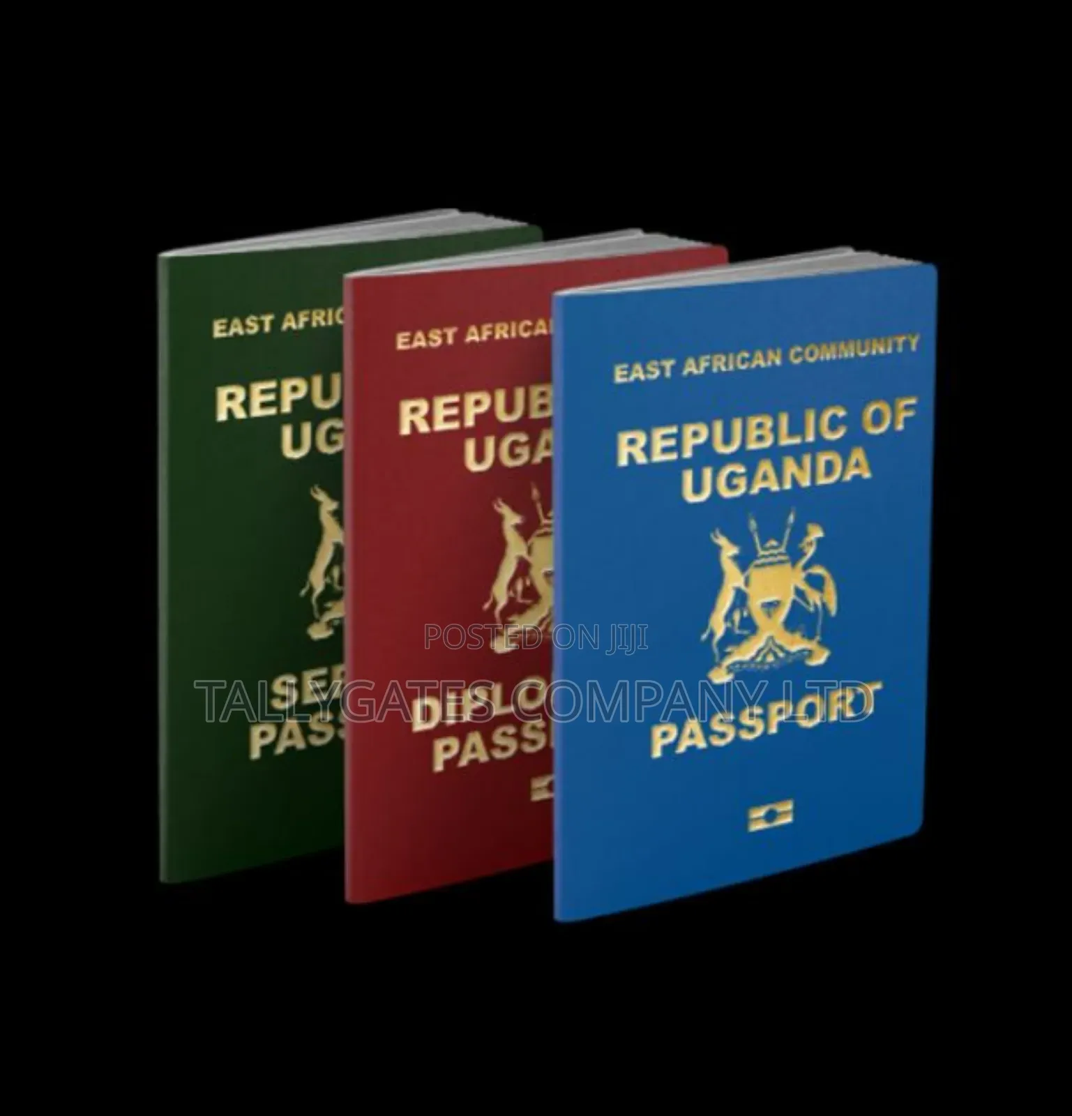 Express○Ordinary Passport Processing Services