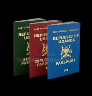 Express○Ordinary Passport Processing Services