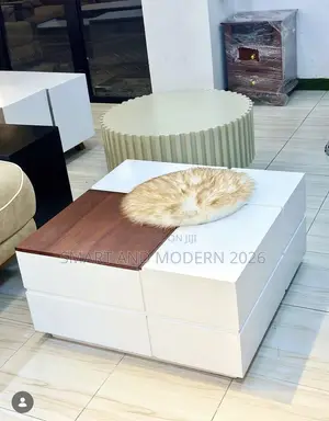 Dinner Writing Coffee Table Standing Moving Modern Center Table Center