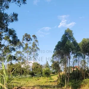Land for Sale Wakiso.Land From 1.5m Ettaka ,Plot , Kyapa