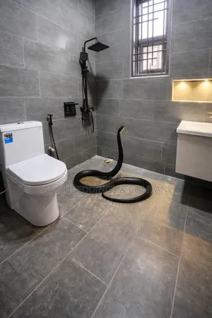 Snake Repellent and Fumigations in Homes and Apartments