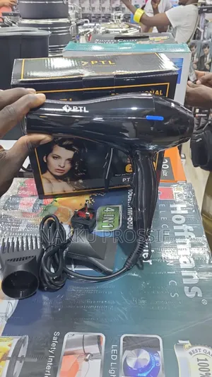 Professional Hair Dryer