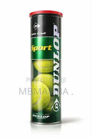 Dunlop Fort All Court Balls 4 Pack