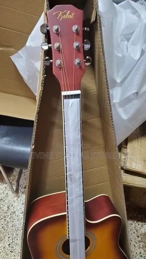 Acoustic Guitar