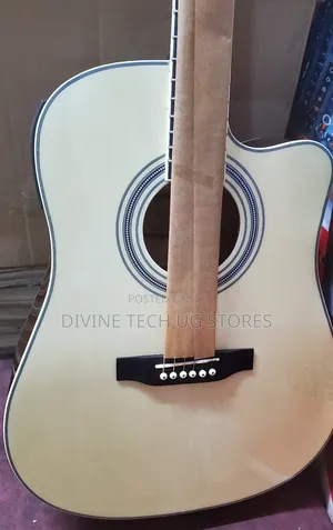 Electric Acoustic Guitar ( Powered Guitar)