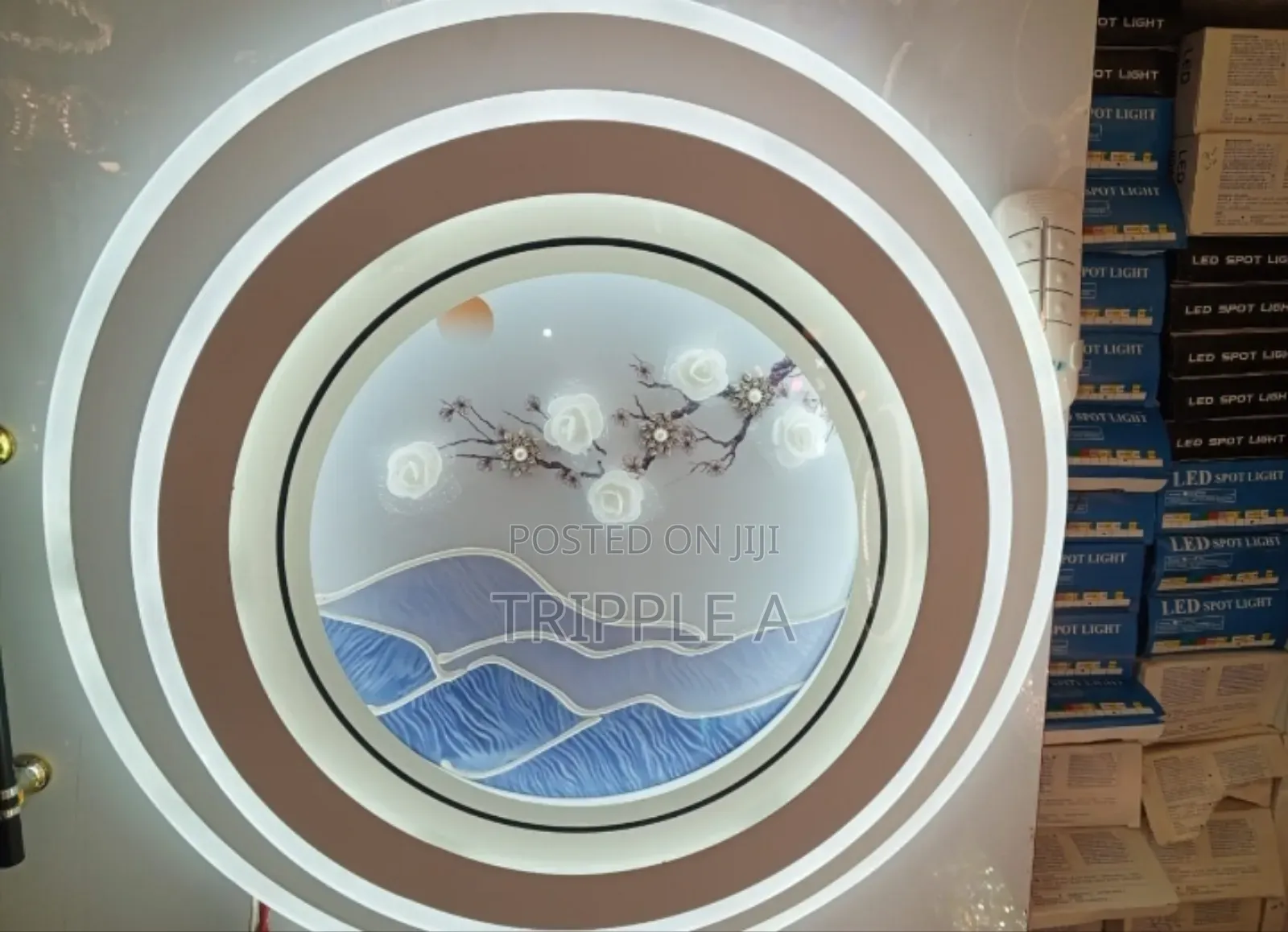 Smart Modern Led Ceiling Light