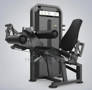 Leg Extension