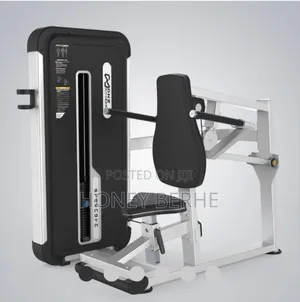 Seated Dip Machine
