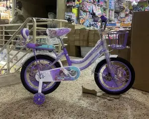 Girl Kids Bicycle Purple