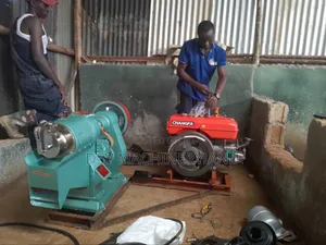 N70 Rice and Maize Cereal Hauler Removes Outer Coat