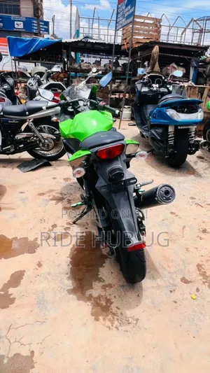 Kawasaki Ninja 300 2015 Green