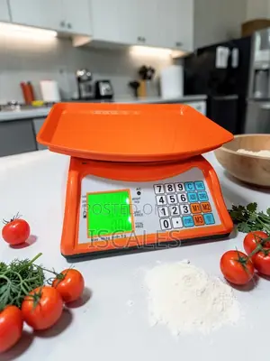 Digital Weighing Scale 40kg Weigh Electronic Digital Weighing Scale