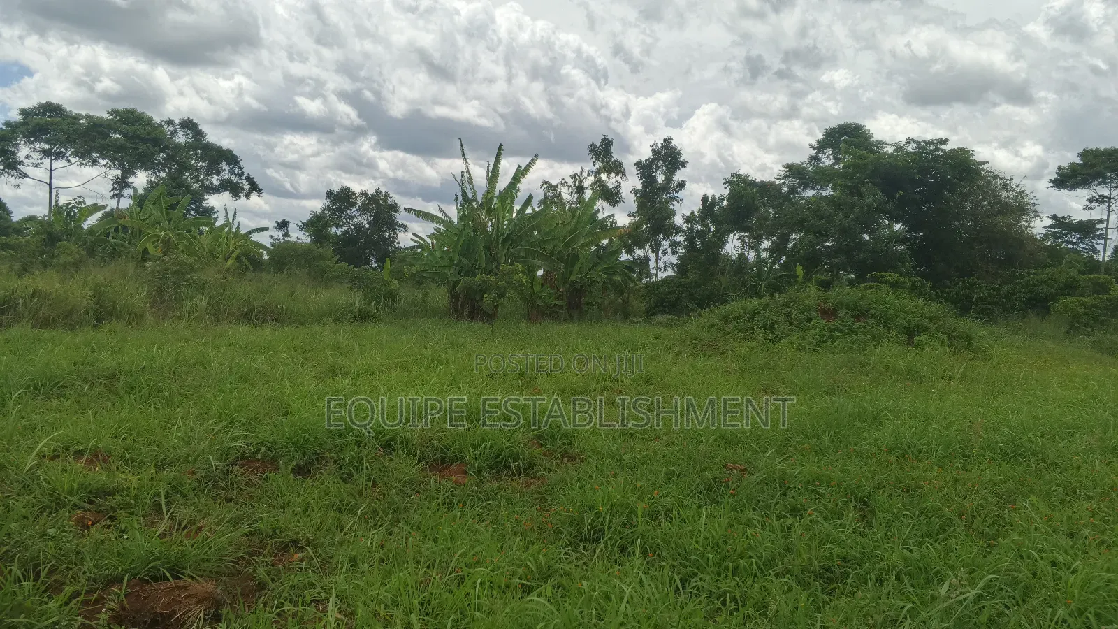 Kibanja Plot Available