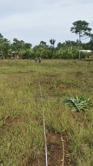 Kibanja Plot Available