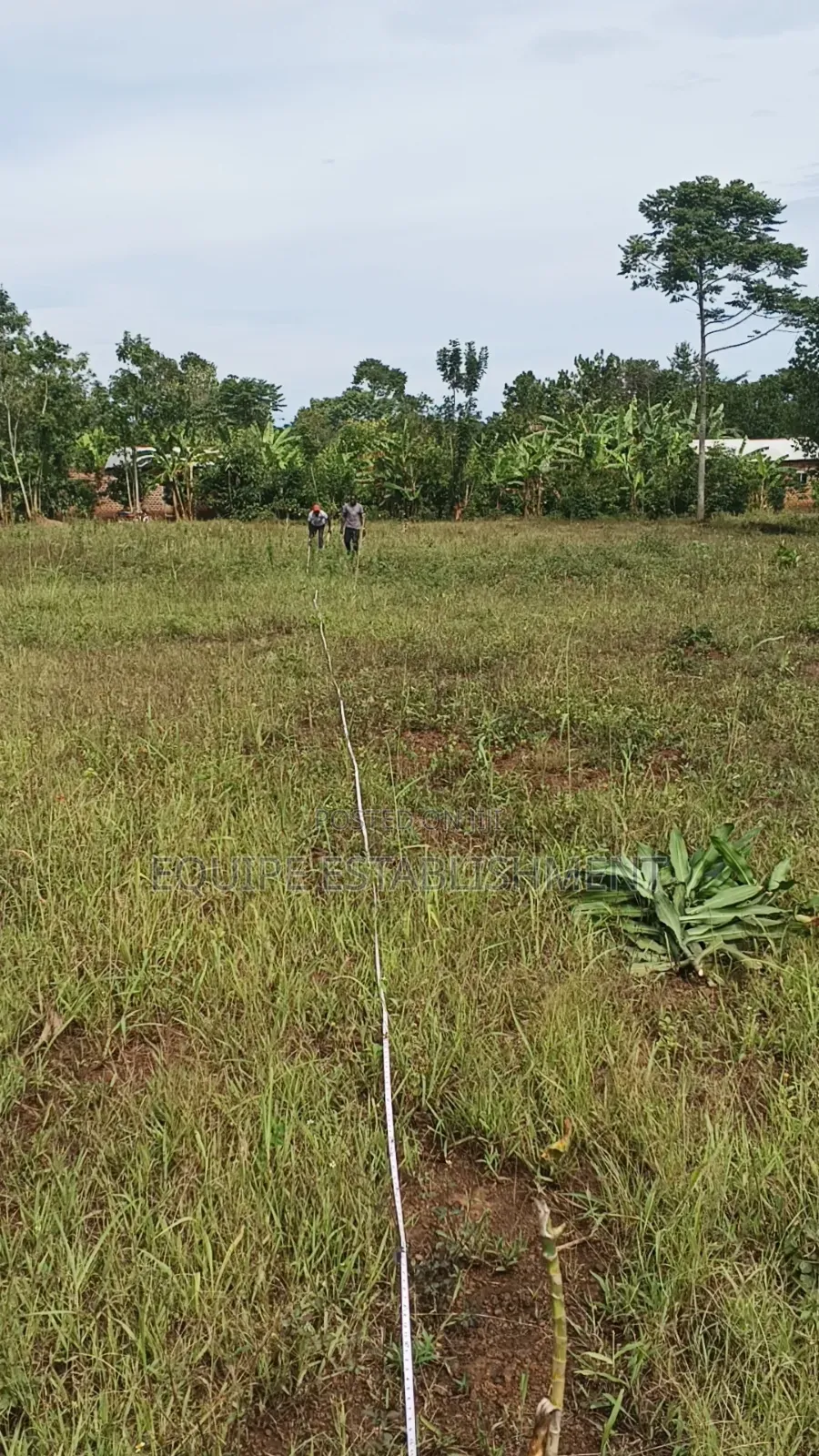 Kibanja Plot Available
