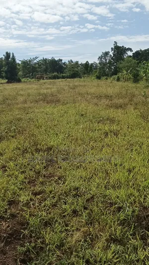 Kibanja Plot Available